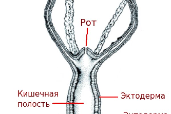 Свежие ссылки кракен